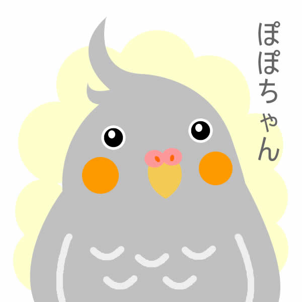 オカメインコのぽぽちゃん