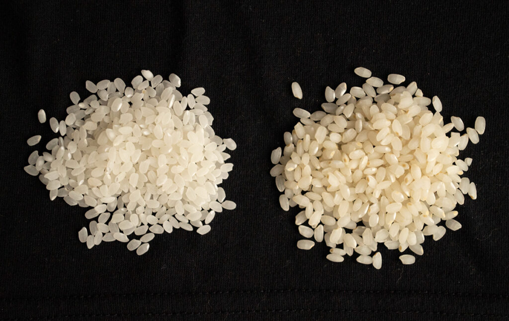 米の比較